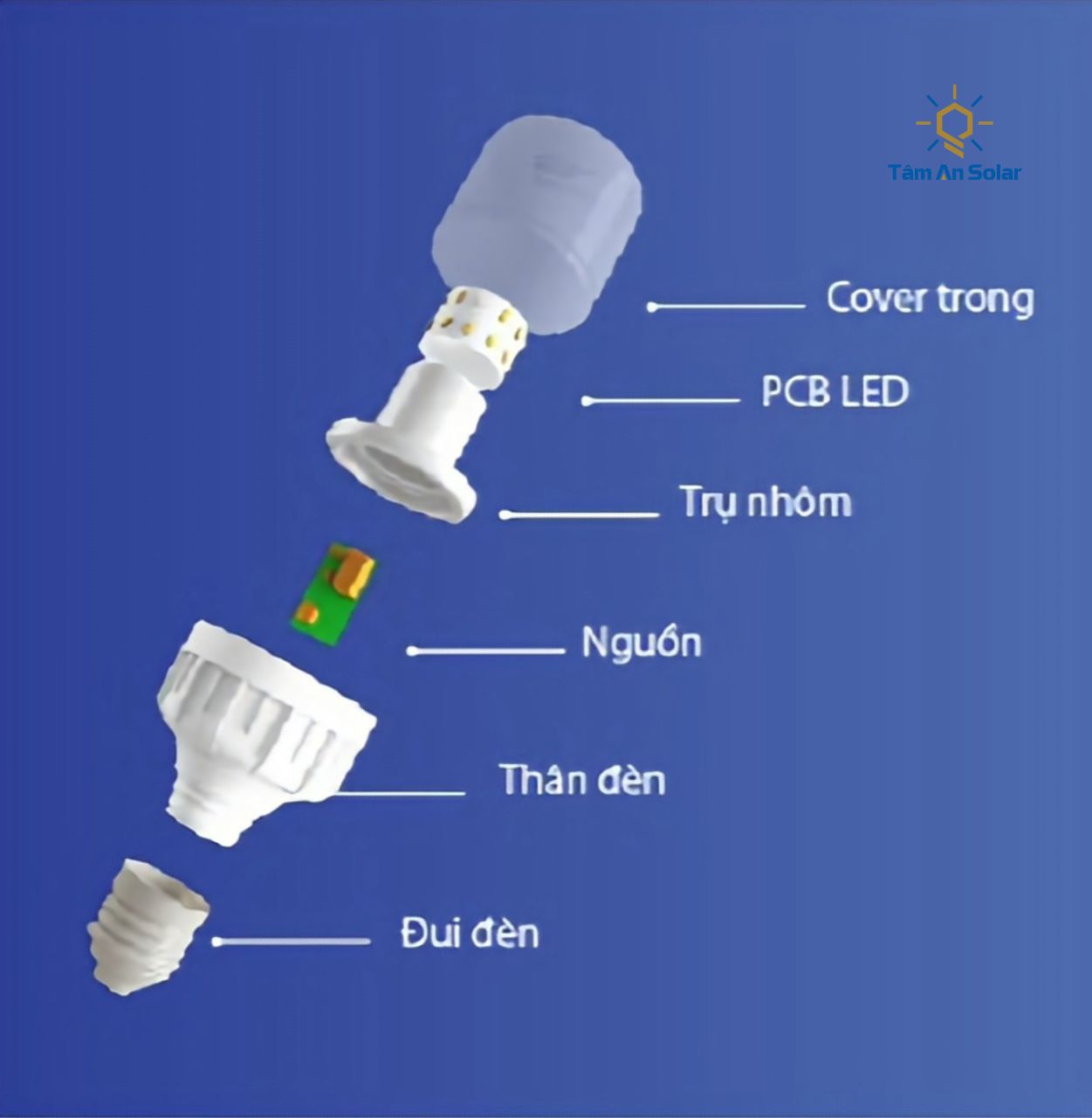 Đèn chiếu sáng thanh long
