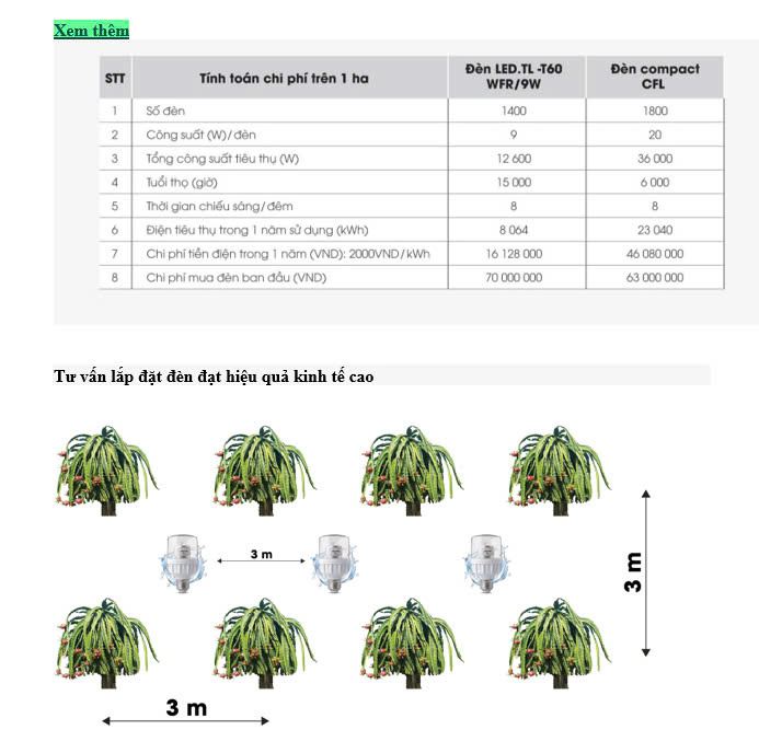Đèn chiếu sáng thanh long