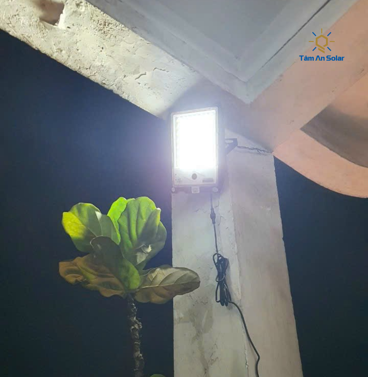 Đèn led mặt trời